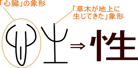 漢字 性|「性」という漢字の意味・成り立ち・読み方・画数・部首を学習